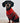 Chaleco Escoces Rojo/verde