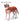 Body Cobre CASTRACIÓN Perros machos 9 (21 a 25 kg)