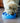 Outward Hound Comedero Lento M Azul